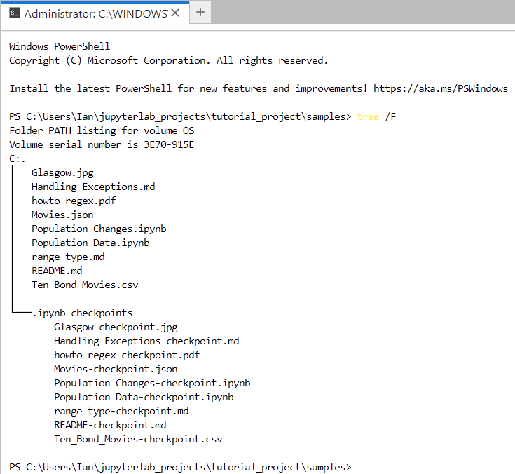windows_powershell.png